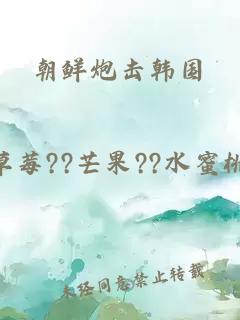 朝鮮炮擊韓國