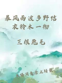 暴風(fēng)雨波多野結衣鈴木一徹