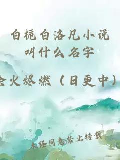 白梔白洛凡小說(shuō)叫什么名字