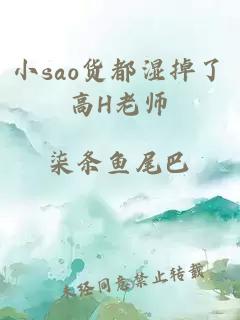 小sao貨都濕掉了高H老師