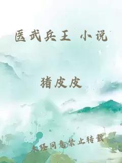 醫武兵王 小說(shuō)