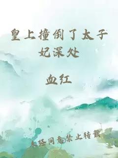 皇上撞倒了太子妃深處