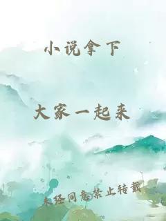 小說(shuō)拿下