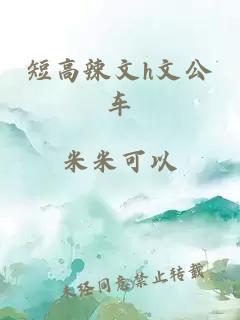 短高辣文h文公車(chē)