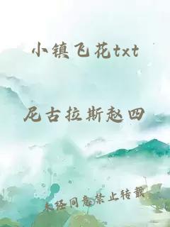 小鎮飛花txt
