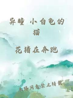異瞳 小白龜的貓