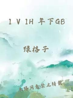 1 V 1H 年下GB
