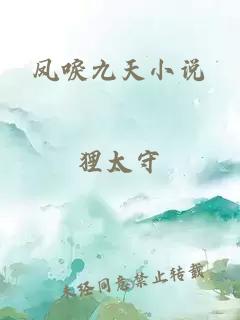 鳳唳九天小說(shuō)