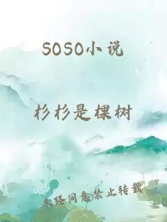 SOSO小說(shuō)