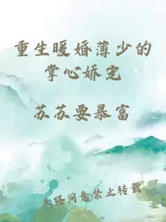 重生暖婚薄少的掌心嬌寵