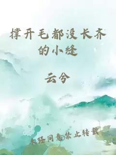 撐開(kāi)毛都沒(méi)長(cháng)齊的小縫