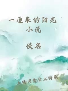 一厘米的陽(yáng)光 小說(shuō)