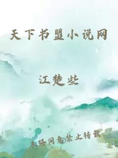 天下書(shū)盟小說(shuō)網(wǎng)