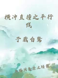 橫沖直撞之平行線(xiàn)