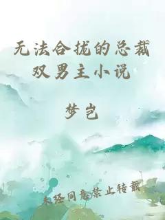 無(wú)法合攏的總裁雙男主小說(shuō)