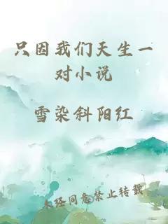 只因我們天生一對小說(shuō)