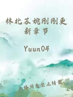 林北蘇婉剛剛更新章節