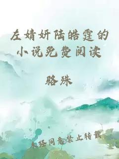 左婧妍陸皓霆的小說(shuō)免費閱讀