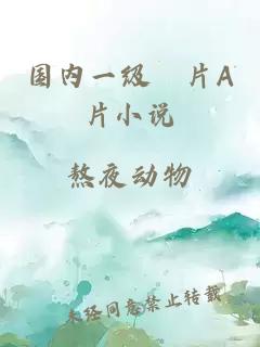 國內一級婬片A片小說(shuō)