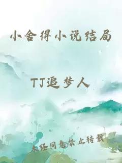小舍得小說(shuō)結局