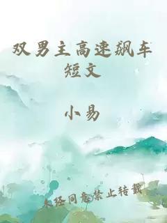 雙男主高速飆車(chē)短文