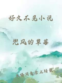 好久不見(jiàn)小說(shuō)