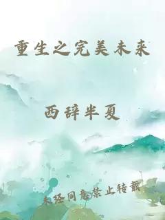 重生之完美未來(lái)
