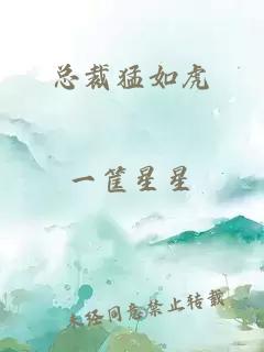 總裁猛如虎