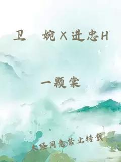 衛嬿婉×進(jìn)忠H