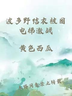 波多野結衣被困電梯激戰