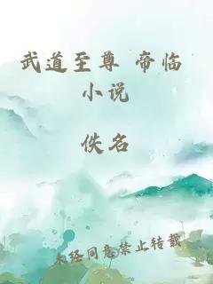 武道至尊 帝臨 小說(shuō)
