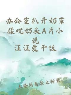 辦公室扒開(kāi)奶罩揉吮奶頭A片小說(shuō)