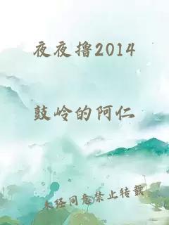 夜夜擼2014