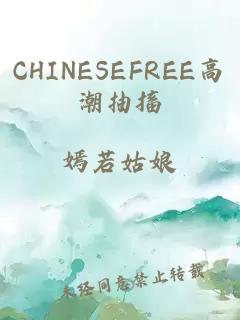 CHINESEFREE高潮抽搐