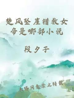 楚風(fēng)墜崖錯救女帝是哪部小說(shuō)