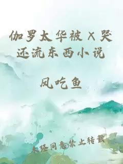 伽羅太華被×哭還流東西小說(shuō)