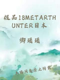 極品18METARTHUNTER日本