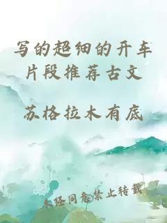 寫(xiě)的超細的開(kāi)車(chē)片段推薦古文