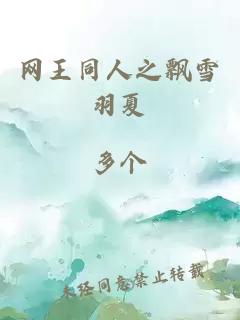 網(wǎng)王同人之飄雪羽夏
