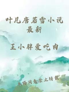 葉凡唐若雪小說(shuō)最新