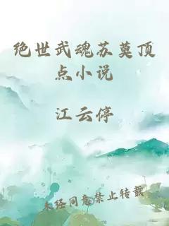 絕世武魂蘇莫頂點(diǎn)小說(shuō)