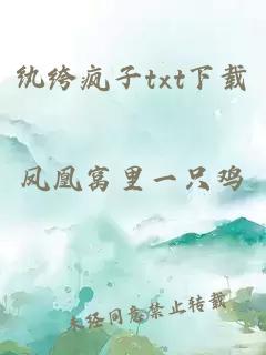 紈绔瘋子txt下載