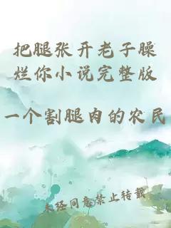 把腿張開(kāi)老子臊爛你小說(shuō)完整版