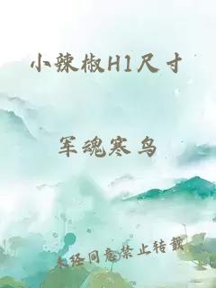 小辣椒H1尺寸