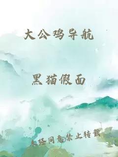 大公雞導航