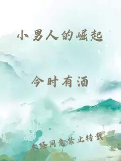 小男人的崛起