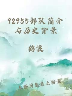 92955部隊簡(jiǎn)介與歷史背景