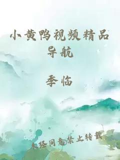 小黃鴨視頻精品導航