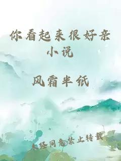 你看起來(lái)很好親小說(shuō)