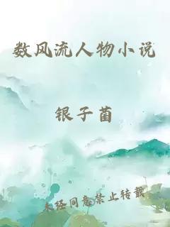 數風(fēng)流人物小說(shuō)